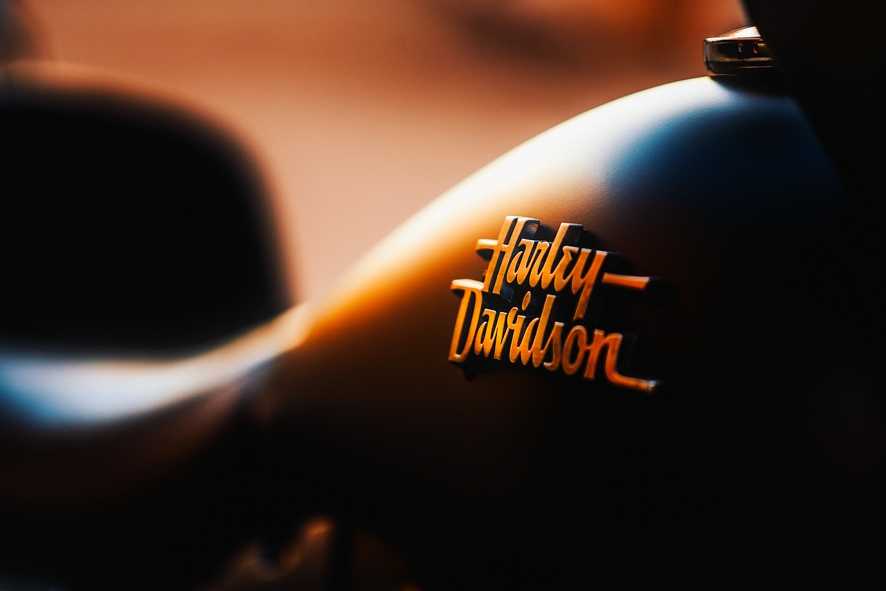 motorcycle, transportation, emblem, harley-davidson, badge, logo, chopper, travel, motorcycle, logo, logo, logo, logo, logo